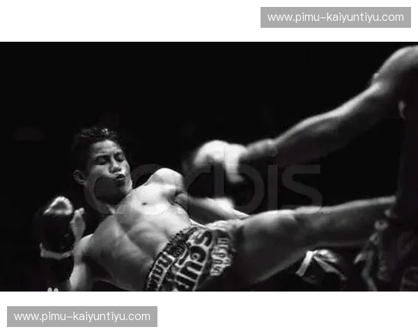 绝代双骄的终极假想：死神方便与大白鲨白近斌，谁才是中国80公斤级的至高神？